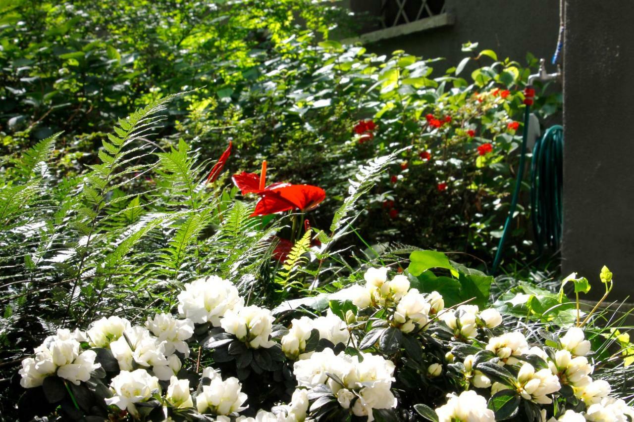 Basement Turati 3 -Consulates District Apartment Милано Екстериор снимка